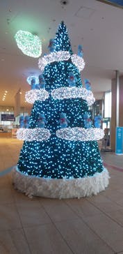 ハルカス300(展望台)に投稿された画像（2020/12/27）