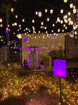 ひらかたパークに投稿された画像（2020/12/27）