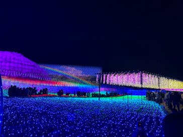 なばなの里に投稿された画像（2020/12/27）