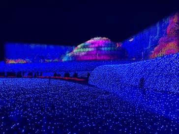 なばなの里に投稿された画像（2020/12/27）