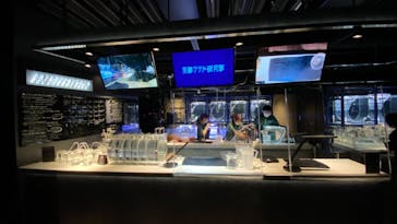 京都水族館に投稿された画像（2020/12/27）