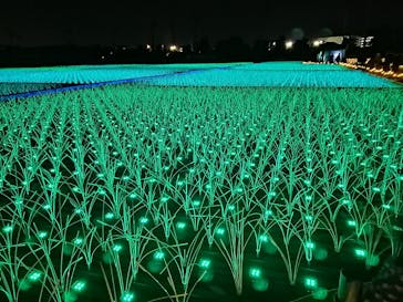 東京メガイルミに投稿された画像（2020/12/27）