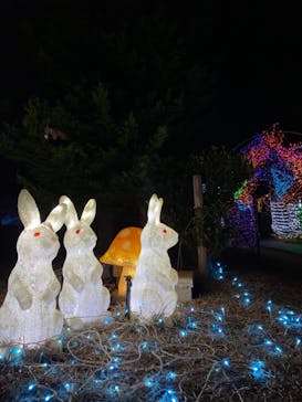 つま恋リゾート 彩の郷に投稿された画像（2020/12/27）