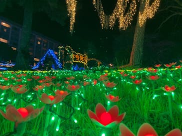 つま恋リゾート 彩の郷に投稿された画像（2020/12/27）