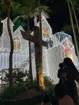 美らヤシパークオキナワ・東南植物楽園に投稿された画像（2020/12/27）