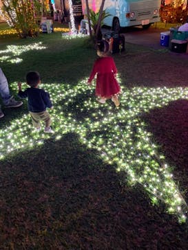 美らヤシパークオキナワ・東南植物楽園に投稿された画像（2020/12/27）