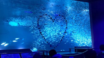 南知多ビーチランド＆南知多おもちゃ王国に投稿された画像（2020/12/27）