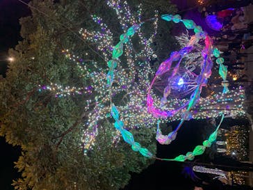 江の島シーキャンドルに投稿された画像（2020/12/27）