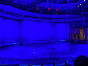 アクアワールド茨城県大洗水族館に投稿された画像（2020/12/27）