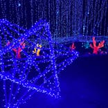 さがみ湖MORI MORIに投稿された画像（2020/12/27）