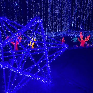 さがみ湖MORI MORIに投稿された画像（2020/12/27）