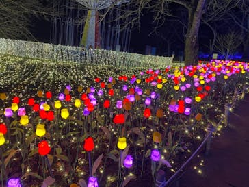 さがみ湖MORI MORIに投稿された画像（2020/12/27）