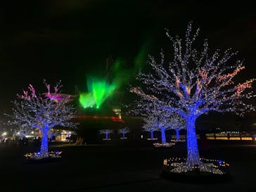 東京メガイルミに投稿された画像（2020/12/27）