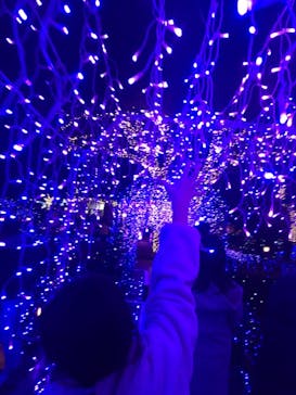 江の島シーキャンドルに投稿された画像（2020/12/27）