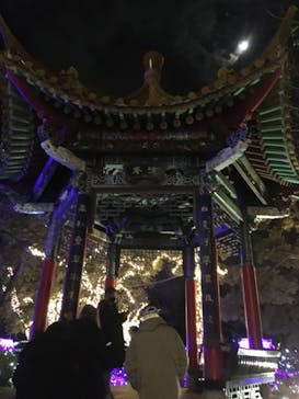 江の島シーキャンドルに投稿された画像（2020/12/27）