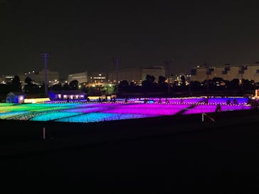 東京メガイルミに投稿された画像（2020/12/27）