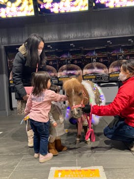 東京メガイルミに投稿された画像（2020/12/27）