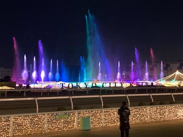 東京メガイルミに投稿された画像（2020/12/27）