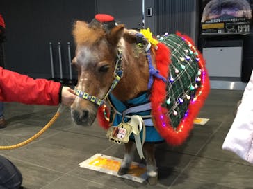 東京メガイルミに投稿された画像（2020/12/27）