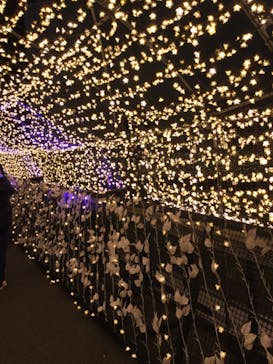 東京メガイルミに投稿された画像（2020/12/27）