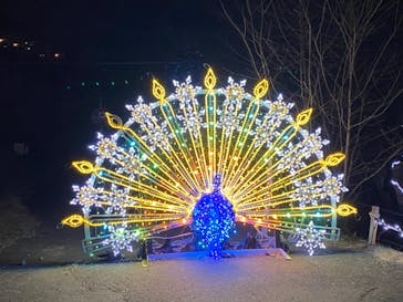 さがみ湖MORI MORIに投稿された画像（2020/12/27）