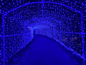 さがみ湖MORI MORIに投稿された画像（2020/12/27）