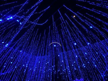 さがみ湖MORI MORIに投稿された画像（2020/12/27）