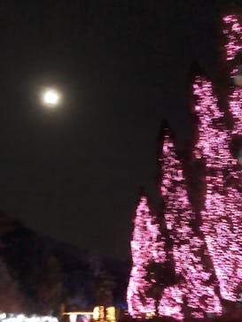 NESTA RESORT KOBE（ネスタリゾート神戸）に投稿された画像（2020/12/27）