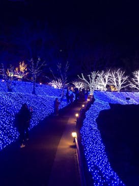 NESTA RESORT KOBE（ネスタリゾート神戸）に投稿された画像（2020/12/27）