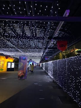 東京メガイルミに投稿された画像（2020/12/27）