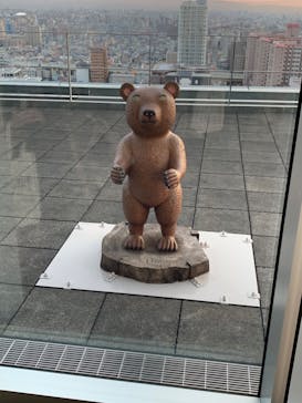 ハルカス300(展望台)に投稿された画像（2020/12/27）