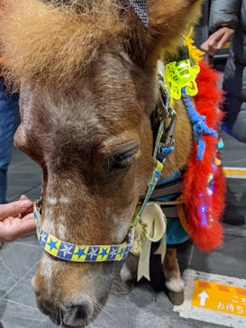 東京メガイルミに投稿された画像（2020/12/27）