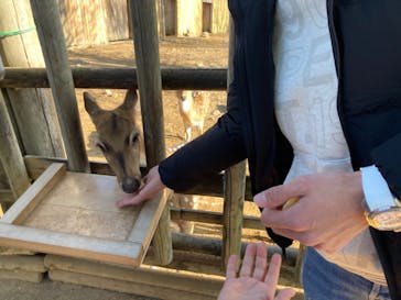 東武動物公園に投稿された画像（2020/12/27）