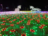 東武動物公園に投稿された画像（2020/12/27）