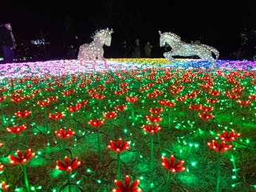 東武動物公園に投稿された画像（2020/12/27）