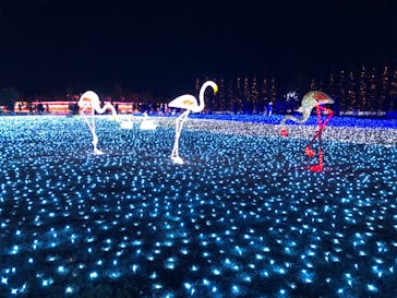 東武動物公園に投稿された画像（2020/12/27）