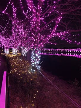 東武動物公園に投稿された画像（2020/12/27）