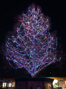 東武動物公園に投稿された画像（2020/12/27）