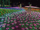 東武動物公園に投稿された画像（2020/12/27）
