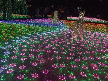 東武動物公園に投稿された画像（2020/12/27）