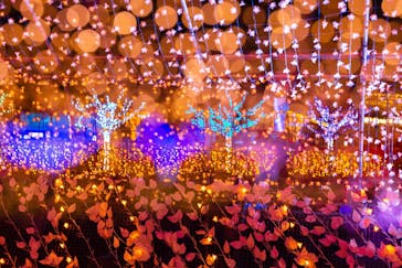 東京メガイルミに投稿された画像（2020/12/27）