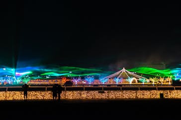 東京メガイルミに投稿された画像（2020/12/27）