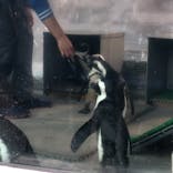 サンシャイン水族館に投稿された画像（2020/12/27）