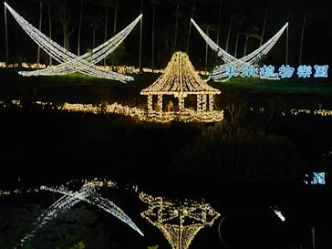 美らヤシパークオキナワ・東南植物楽園に投稿された画像（2020/12/27）