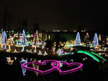 美らヤシパークオキナワ・東南植物楽園に投稿された画像（2020/12/27）