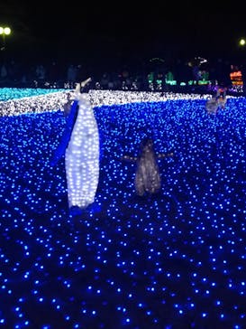 東武動物公園に投稿された画像（2020/12/27）