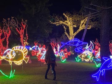 美らヤシパークオキナワ・東南植物楽園に投稿された画像（2020/12/27）