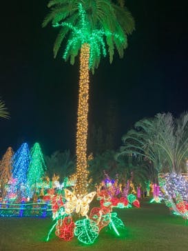 美らヤシパークオキナワ・東南植物楽園に投稿された画像（2020/12/27）