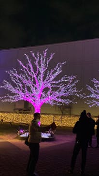 東京メガイルミに投稿された画像（2020/12/27）