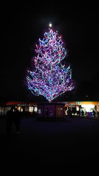 東武動物公園に投稿された画像（2020/12/27）